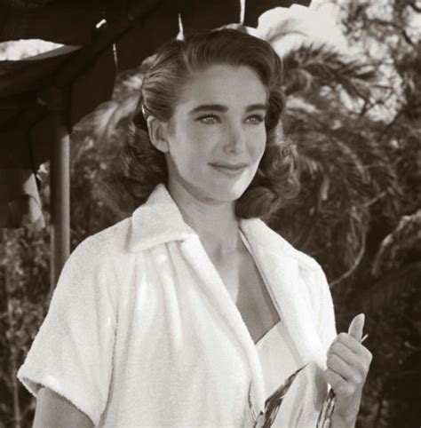 cheesecake julie adams